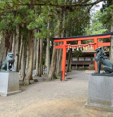 Miyashiro torii at Garan temple complex in Koyasan, Japan.