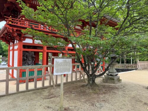 Chumon gate at Garan temple complex in Koyasan, Japan.2