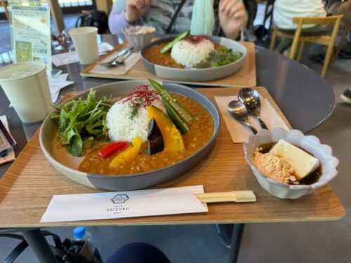 Lunch plate in dining room in Koyasan, Japan.